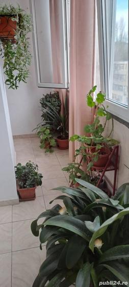Vanzare apartament - 15