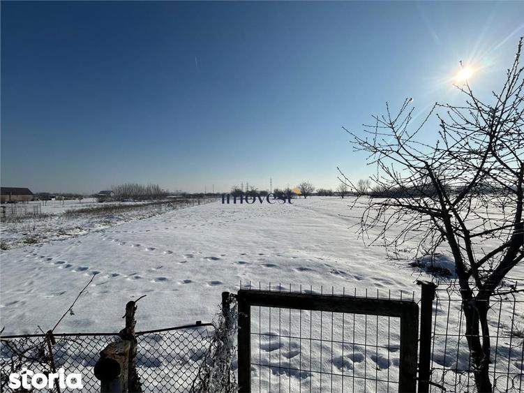 Casa de vanzare in Satu Mare Zona Balta Blonda | Teren 1875 mp | 160. - 3