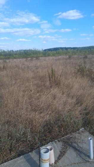 FlamIngo Park Teren intravilan BALOTESTI 15.000 EURO - 3