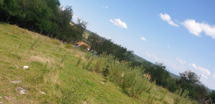 VAND/SCHIMB teren intravilan in com. Ezeris, Jud. Caras-Severin - 1