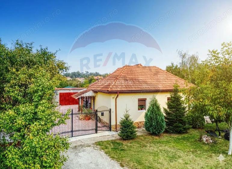 Casa de vanzare in Bazosu Nou