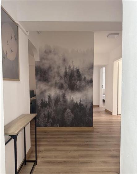 Apartament 4 camere Decomandat Emil Racovita - 8