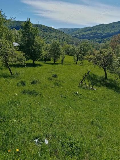 Vand casa ?i teren in Valea Doftanei. - 5