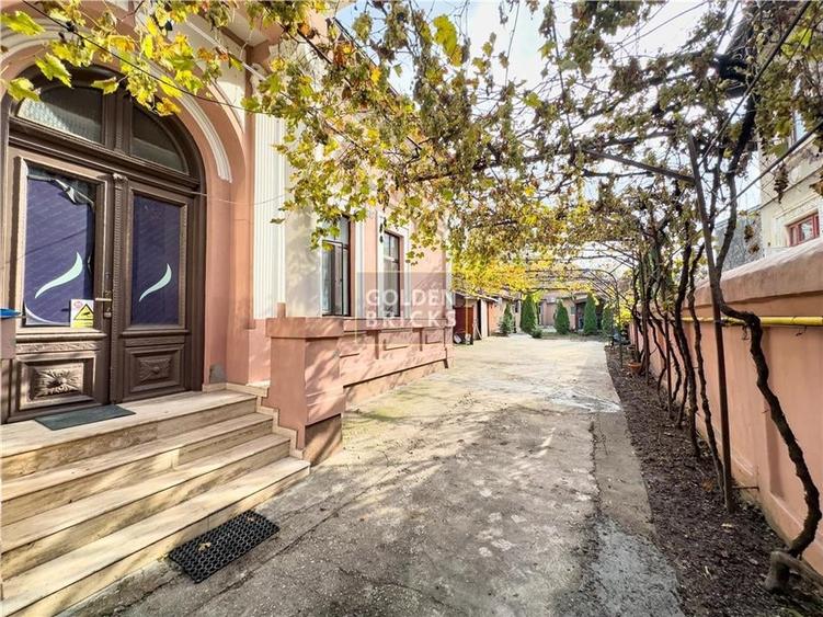 Pache Protopopescu | PROTV | Vizibilitate |  Curte 250 mp | Garaj - 6