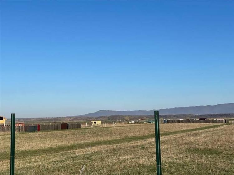 Vanzare terem pentru case Halchiu - 4