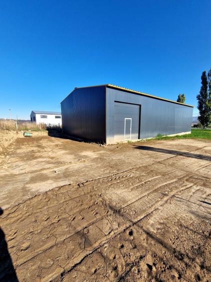 Teren cu hala de vanzare - 4