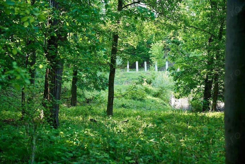 Vand teren 5000 mp, Schitul Tarata, Iasi - 5