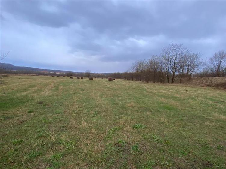 Caransebes, Teren Drept 5087 Mp. Ideal pt Casa 20 Euro Mp. Racovita - 3