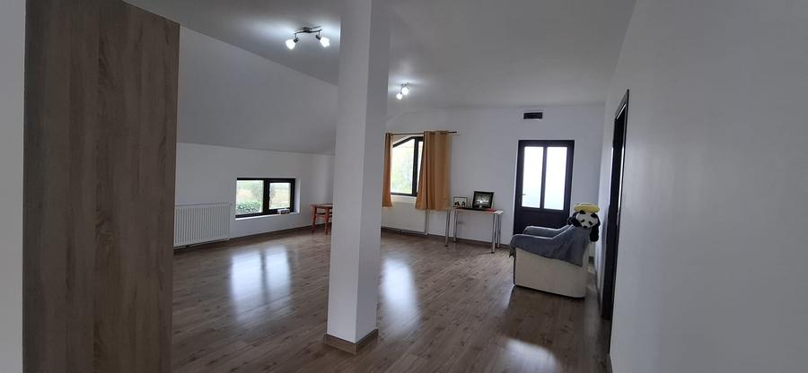 Ovidiu-Vila  cu vedere la Lacul Siutghiol........... - 11