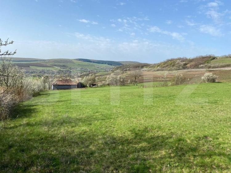 Casa  cu 10000mp de teren in Buza, la 50 km de Cluj-Napoca - 12