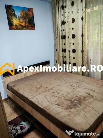 Apartament cu 3 camere decomandat în Tei