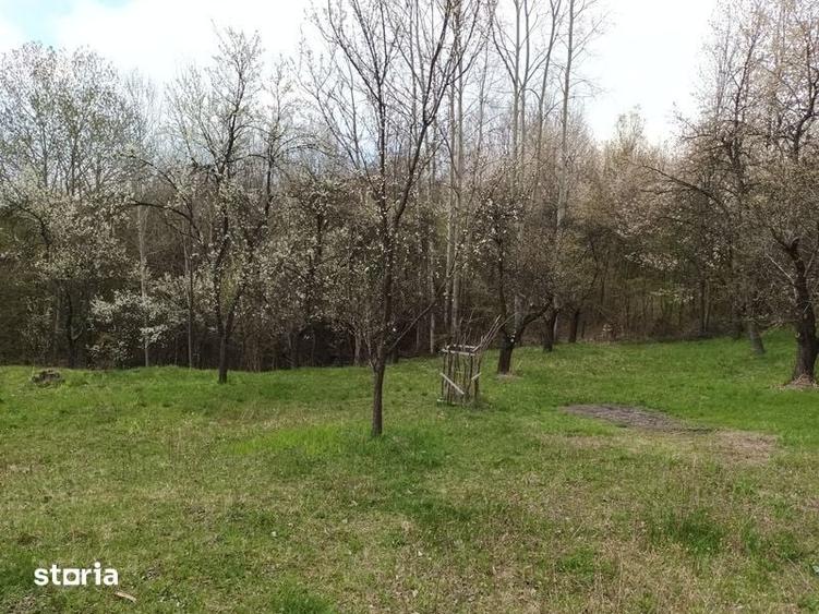Teren de 10600 mp, în Dăești