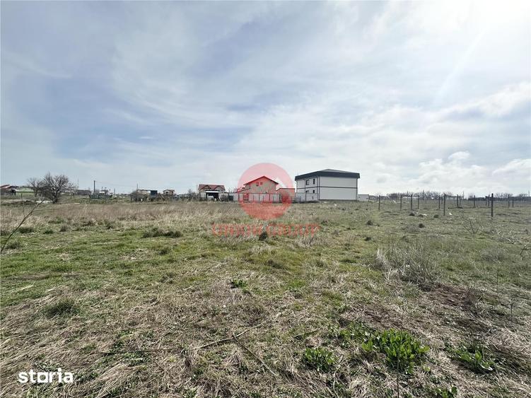 Teren intravilan 513 mp, Zona Viile Noi, Constanta - 7