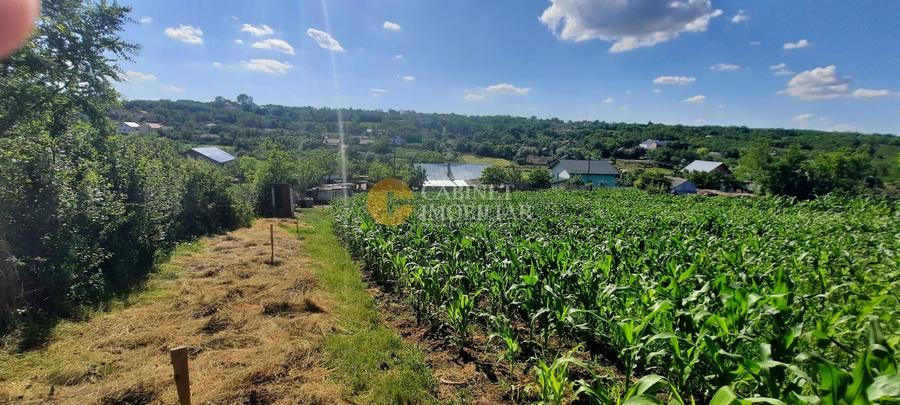 🏡 CASA  + Teren Intravilan 3000 mp , Totoești,Podu Iloaiei - 37.000 Euro 💰 - 15