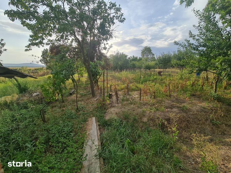 Casă cu 5 camere cu Teren 1496 Mp în Bocsig