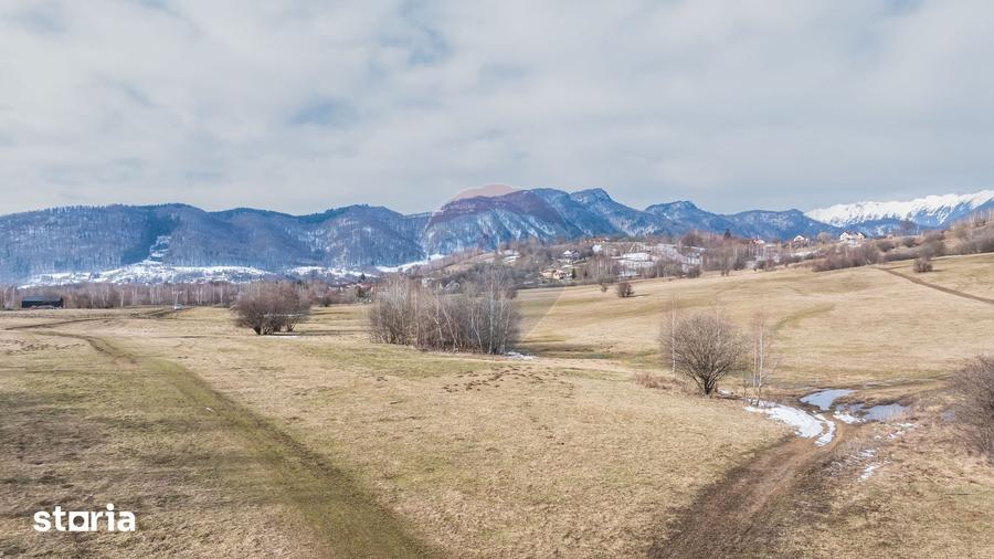 Teren de 4500 mp, în Central