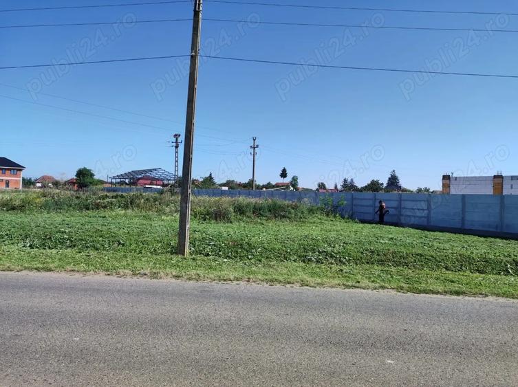 Teren în Vetiș