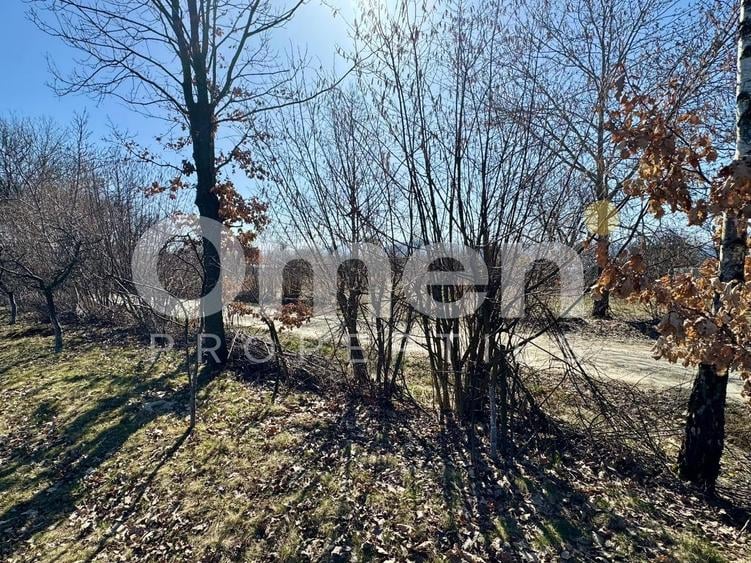 Teren agricol intravilan de 5800 mp, în Berința