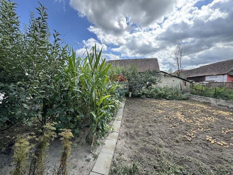 Casă cu 2 camere cu Teren 738 Mp în Șmig