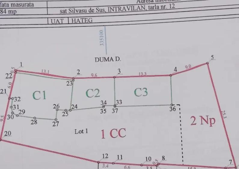 Proprietate de vanzare Silvasu de sus(Hateg) la 3 km de manastirea Prislop(Arsenie Boca) - 2