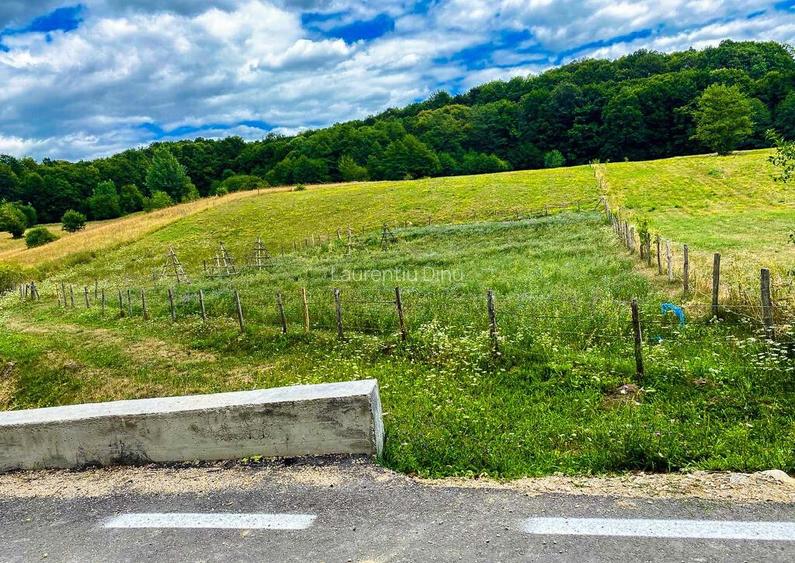 Teren Intravilan Mihaesti Arges