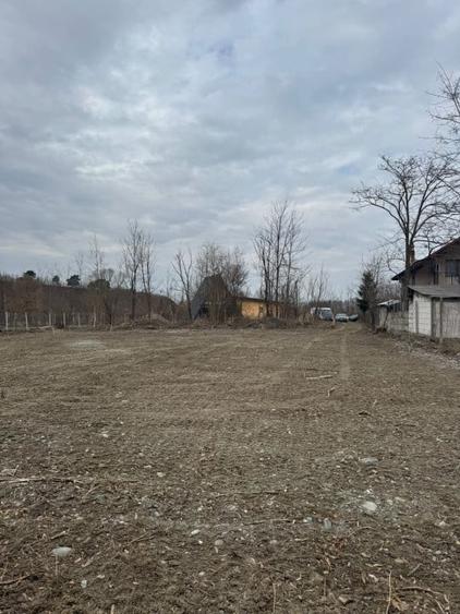 Teren Intravilan - parcelabil - 1.450 mp - Valea Avrigului - 3