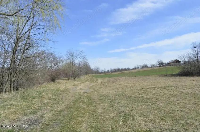 Suseni - Teren intravilan rezidential, suprafata 4000 mp - 7