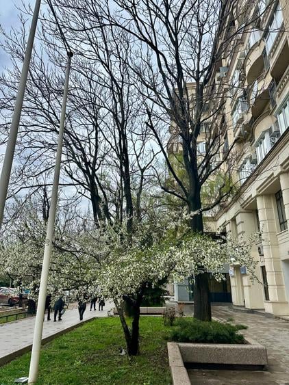 ULTRACENTRAL | DUPLEX SPECTACULOS | LÂNGĂ FÂNTÂNILE UNIRII - 1