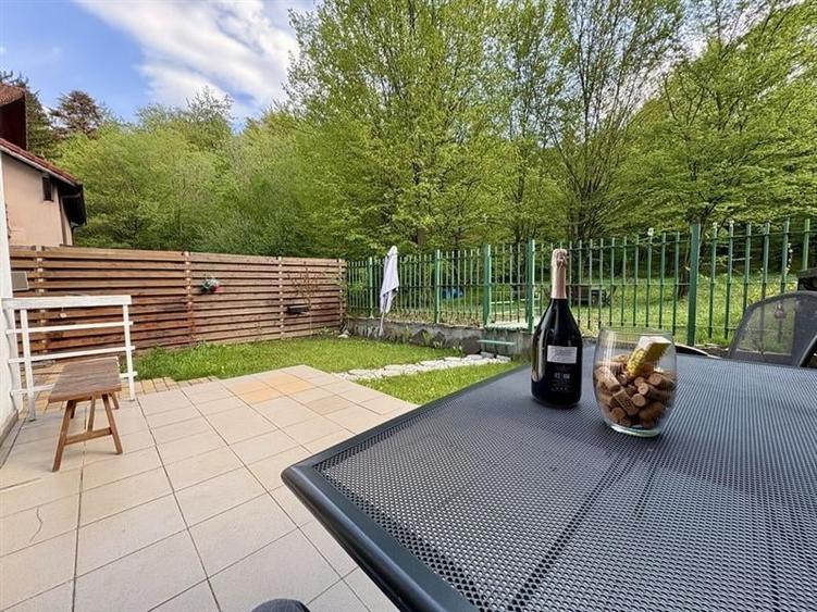 Sub albia padurii, Lux Class, Noua, Brasov - 1