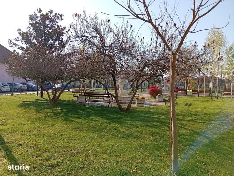 Apartament 3 camere de vanzare in Ineu - 19