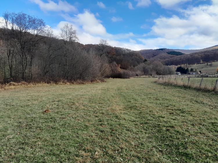 Teren Intravilan Ideal Pt Casa de Vacanta ,Valea Dobarlaului - 4