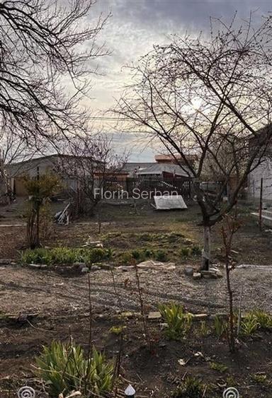 Vanzare teren Jandarmeriei-Vatra Noua