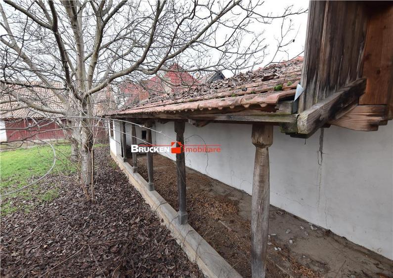 CASA | CENTRAL | MARGHITA - 7