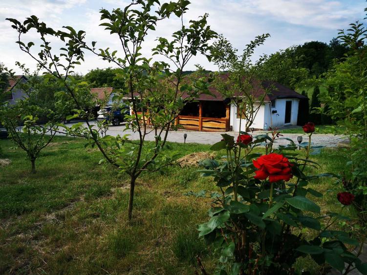 Casa de vanzare in Slimnic - 5