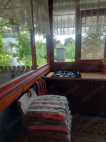 Casa tip cabana cu livada jud Alba - 10