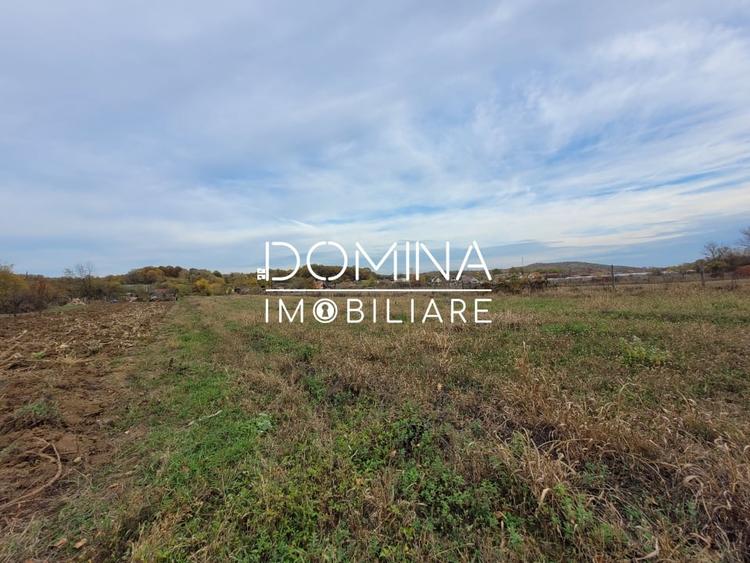 Vanzare teren intravilan, 4967  mp, utilitati, sat Rasova, Balesti - 2