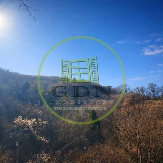 Pădure de vânzare în Scheii Brașovului 2 hectare de natură Brașov Schei - 8