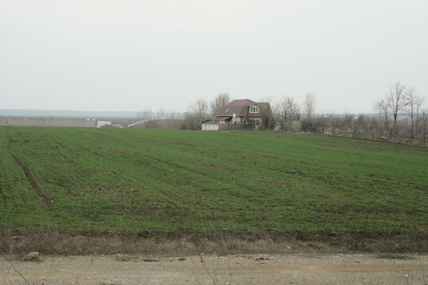 PARTICULAR, 10.200 mp. teren intravilan Moara Vlasiei, langa nodul A3 si Balta - 3