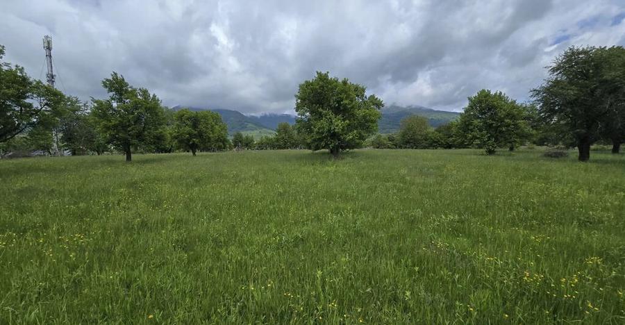 Teren intravilan - 2 minute de centru Prundu Bargaului - ... - 4