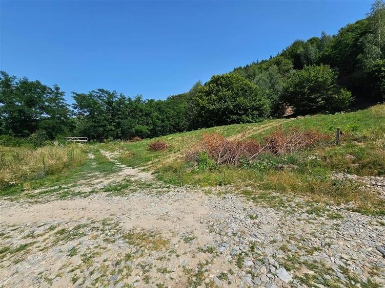 Alzza Real Estate  Teren intravilan de vanzare in Salicea, Cluj  1170 mp cu PU - 5