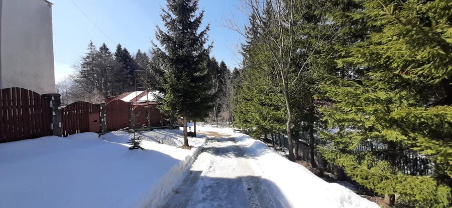 Casa de vacanta sau pensiune situata langa Cabana Trei Brazi Predeal - 43