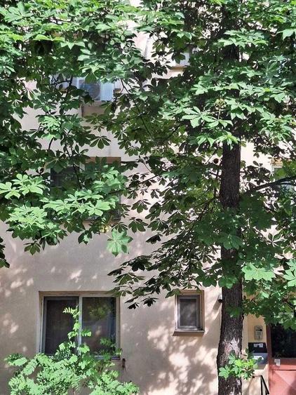 Vand apartament 2 camere Craiova, Valea Rosie, 36mp, parter, situat la 50 m de scoala si 50 m de statie autobuz - 2