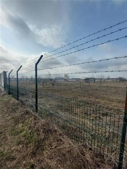 Teren intravilan de vanzare 28094 mp pentru investitii Bizighesti - 5