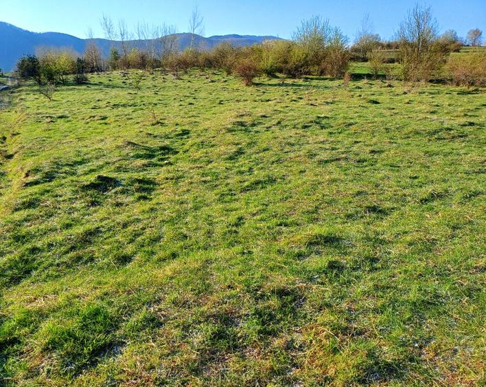 Vand teren 500 m2 intravilan, Cisnadioara - 1