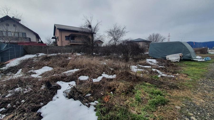 REL4001263 Teren 1000mp I De Vanzare I Cernica I Pantelimon - 1