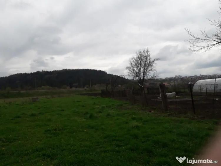 Teren Intravilan Intrare Scheia - Suceava - 4