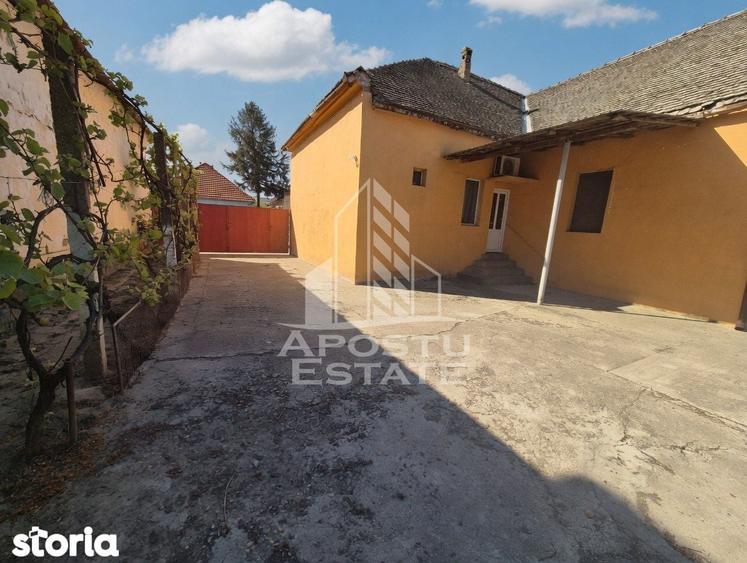 PROPRIETATE PREMIUM TEREMIA MARE - APOSTU ESTATE - 10
