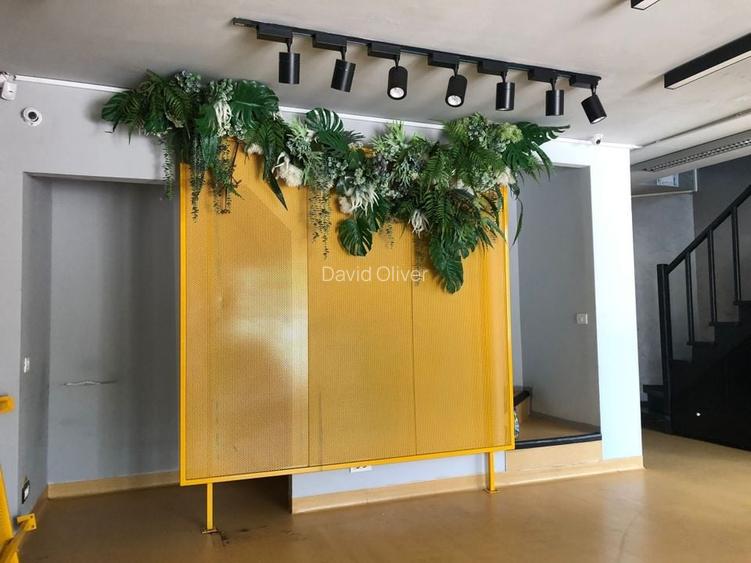 Spatiu comercial stradal || Zona Blvd Decebal || Terasa 110Mp  || Video