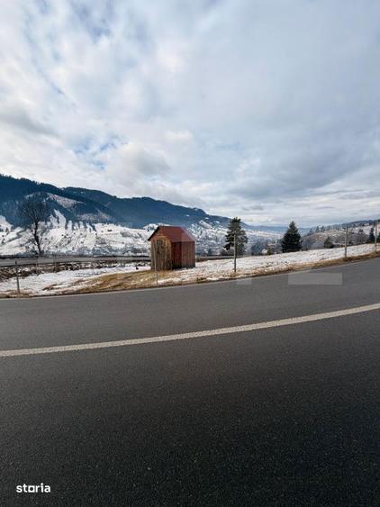 Teren extravilan 8290 mp, Front 50ml - Sadova - Panorama Bucovinei - 2