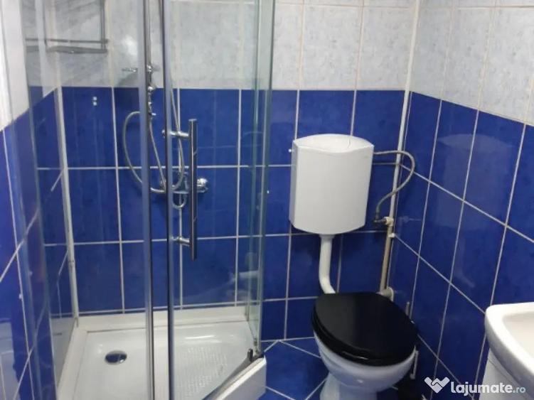 Vila cu garsoniera ?i garaj centrala proprie Floreasca - 10